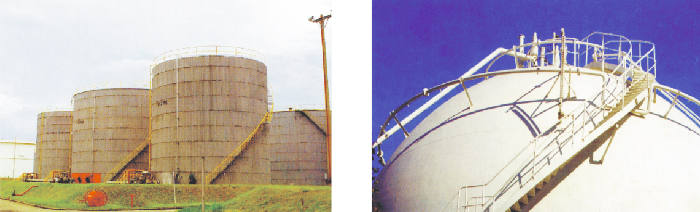 1536285854139435.jpg d7236255-75a6-4c19-a662-0b71a9c801d7.jpg